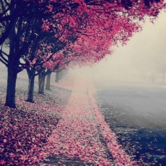 Meet your Posher, Deborah - Picture 1 of 1